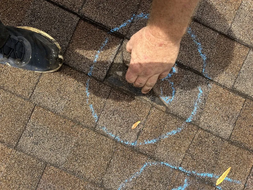 Slide of Total Care Services