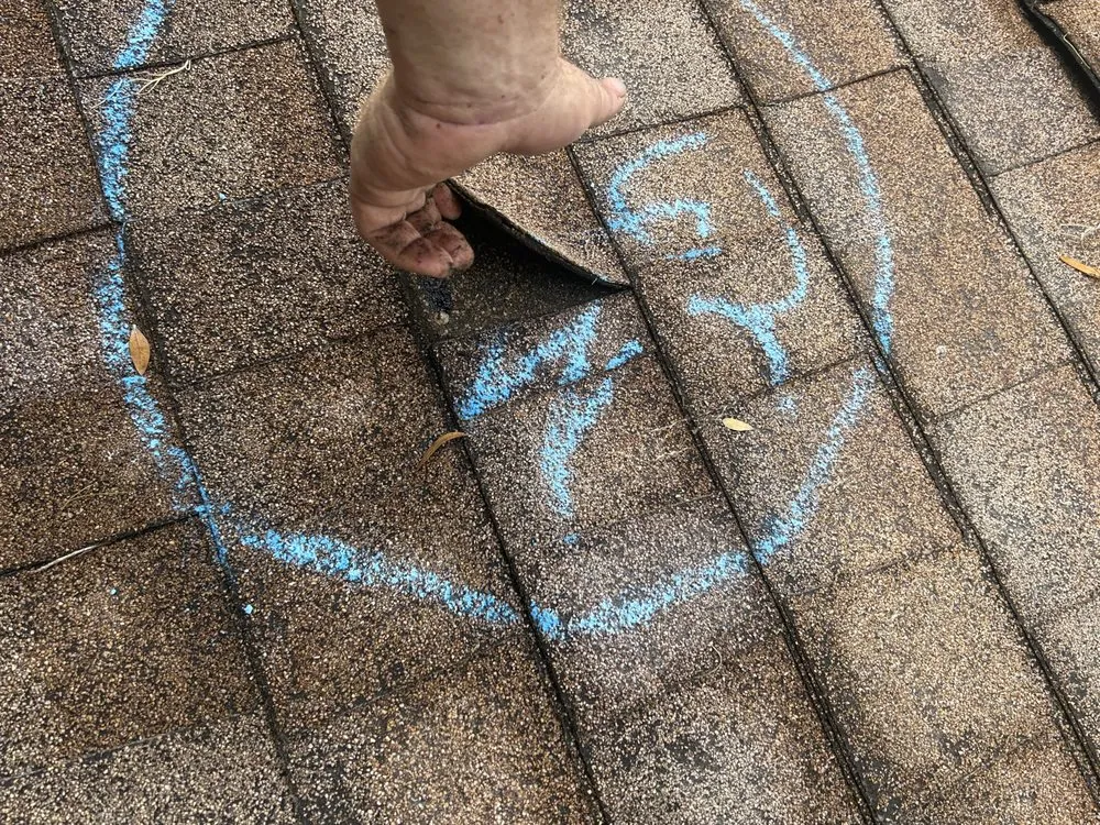 Slide of Total Care Services