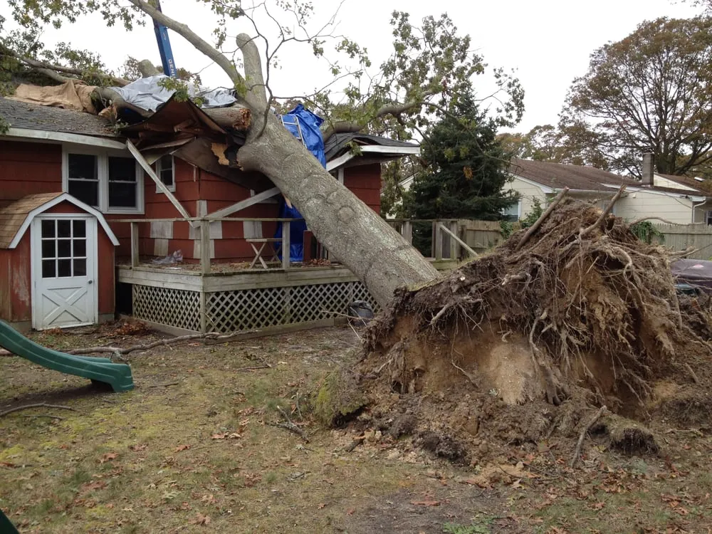 Slide of Total Design Builders LLC