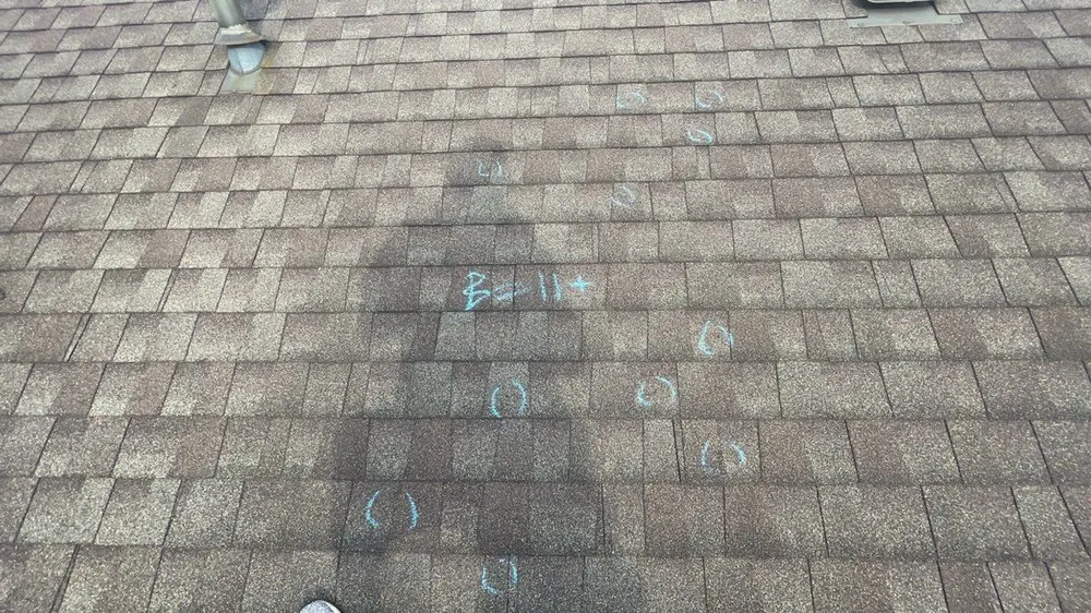 Slide of Total Exteriors