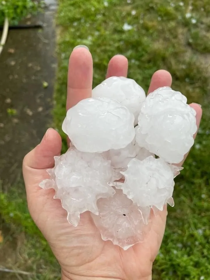 Slide of Total Exteriors