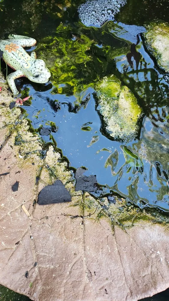 Slide of Total Home Roofing