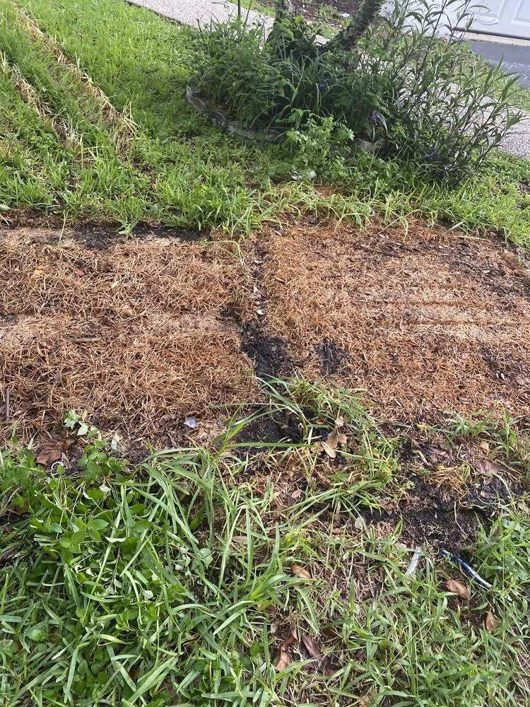 Slide of Total Home Roofing