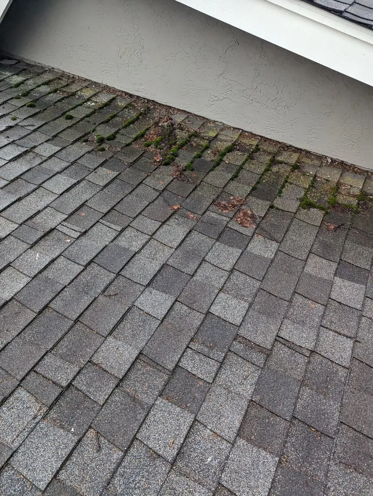 Slide of Total Package Roofing