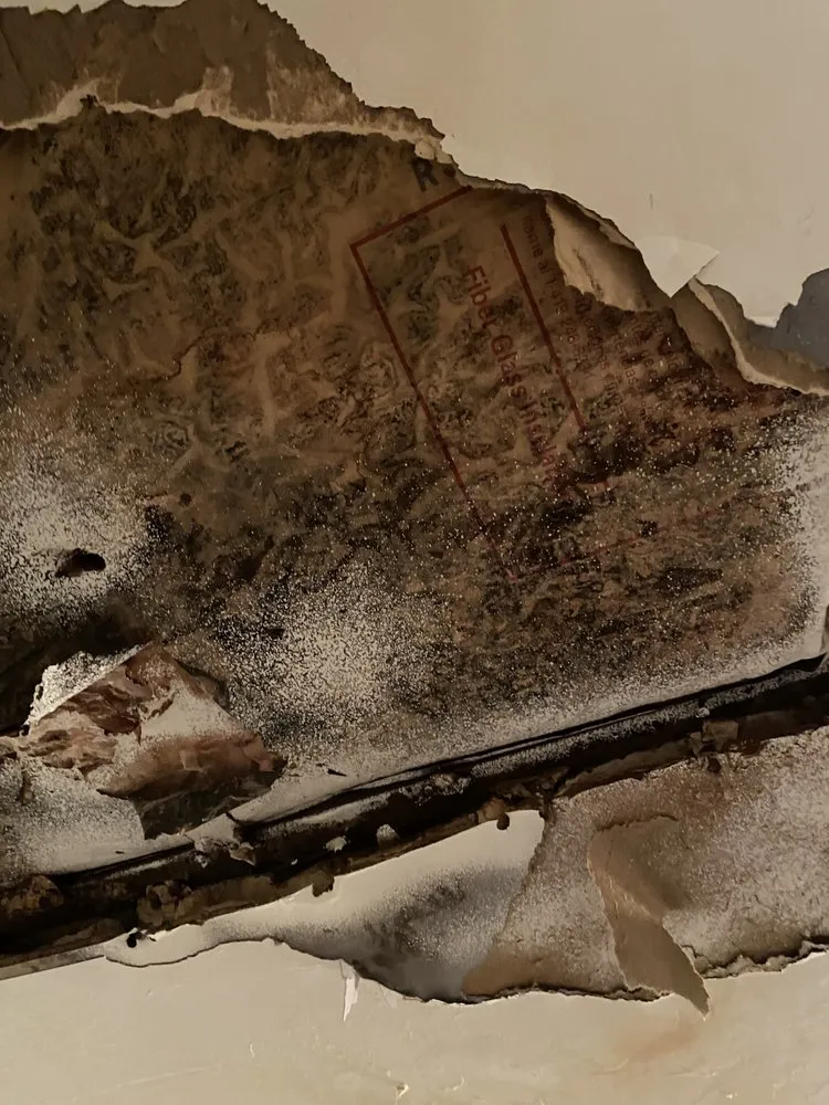Licensed roof leak repair in Ponte Vedra, FL - Total Restoration & Contracting