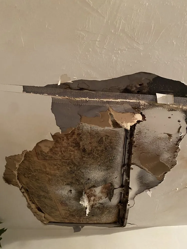 Reliable roof inspection with free inspection in Ponte Vedra, FL by Total Restoration & Contracting