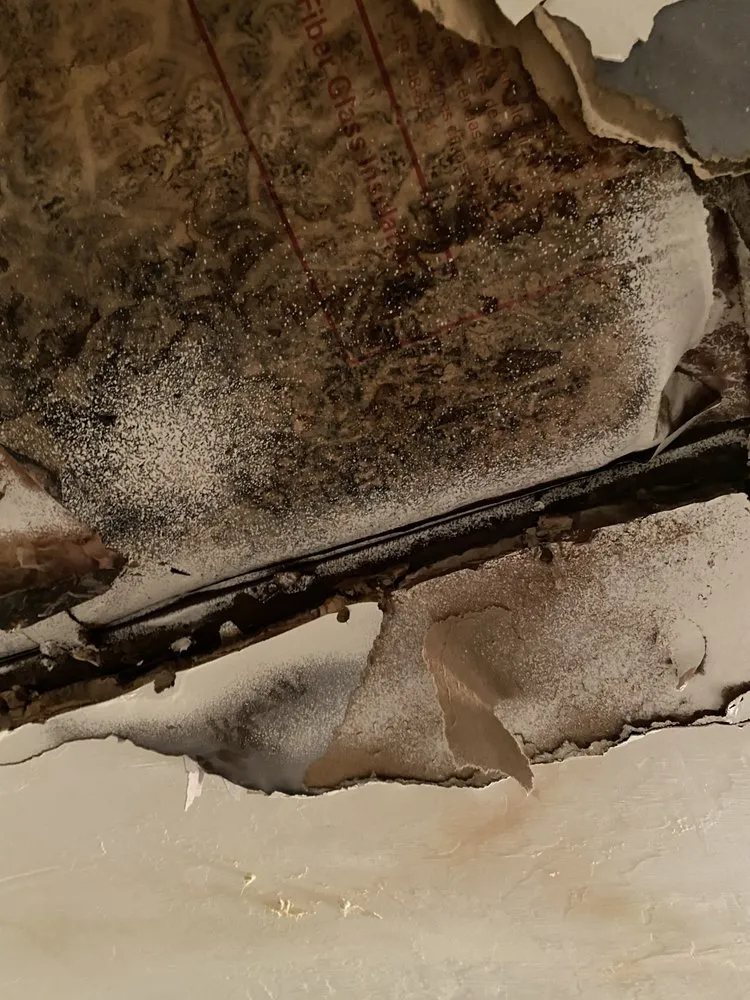 Licensed residential roofing service in Ponte Vedra, FL by Total Restoration & Contracting