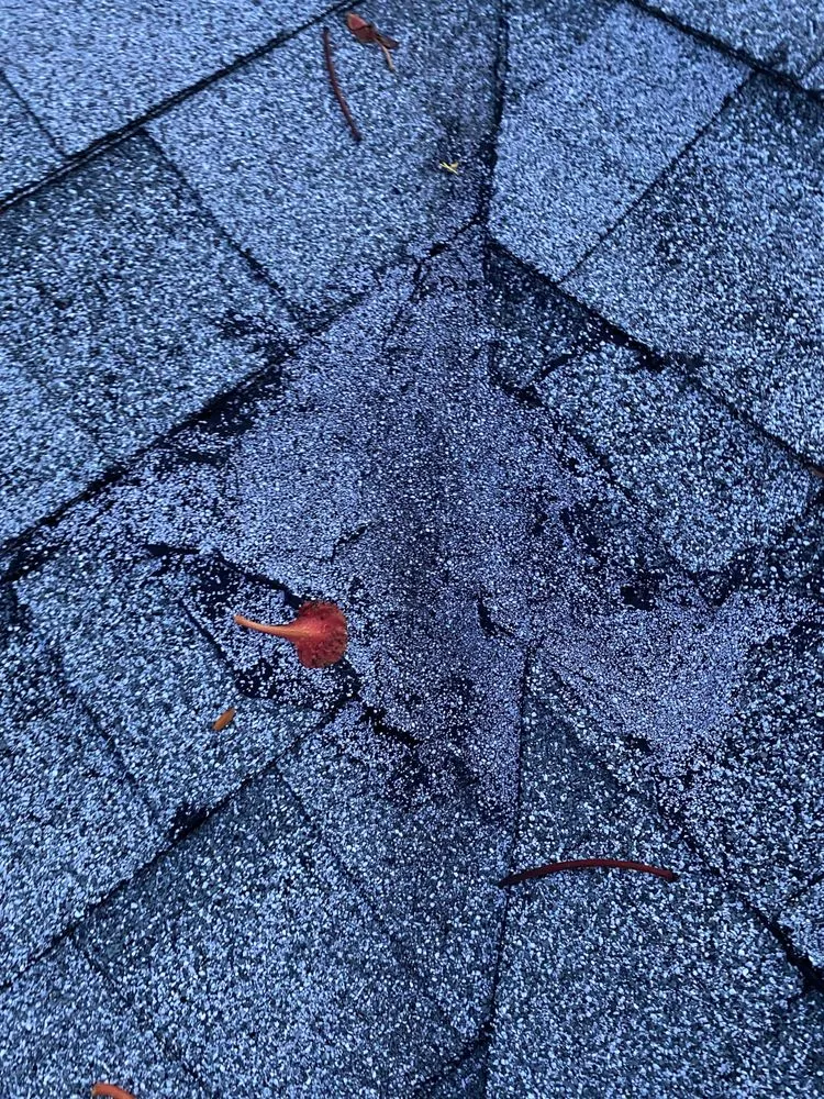 Slide of Total Roofing Contractors