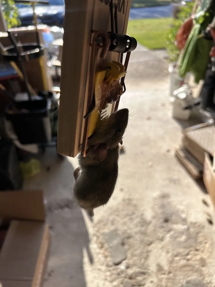 Slide of Total Solution