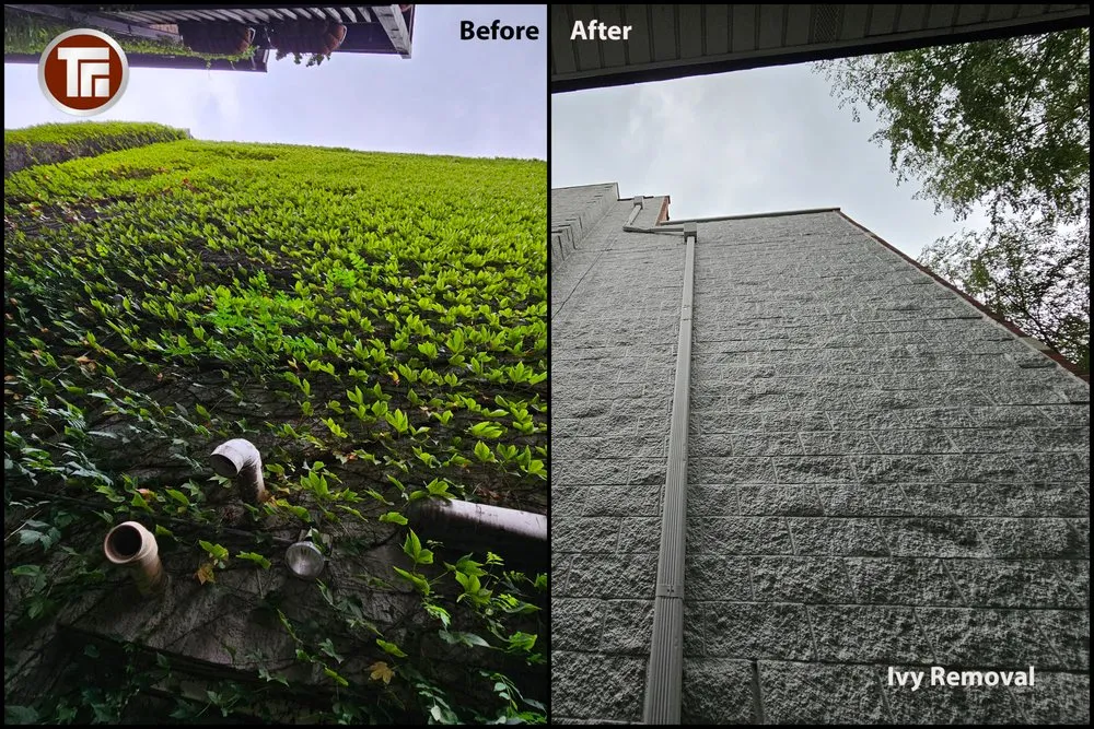 Slide of Touchstone Group Solutions