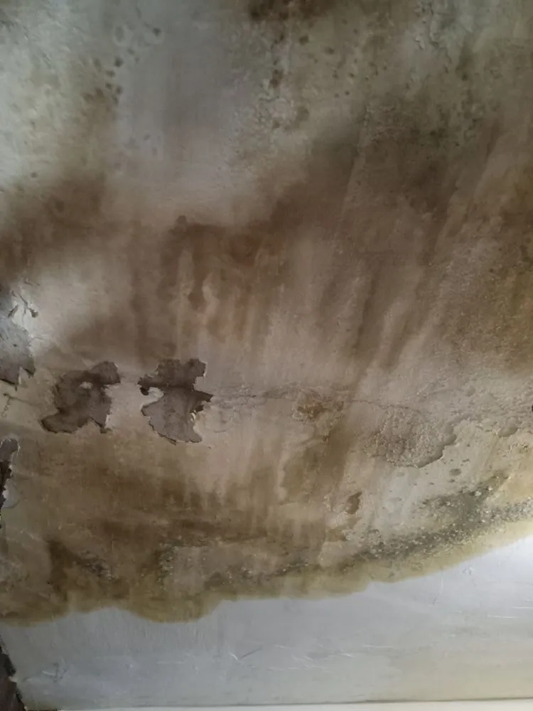 Slide of Tough As Nails Roofing