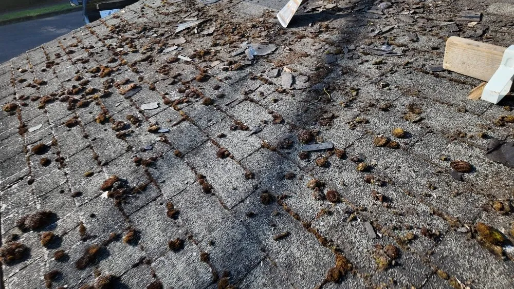 Slide of Tough Roofing