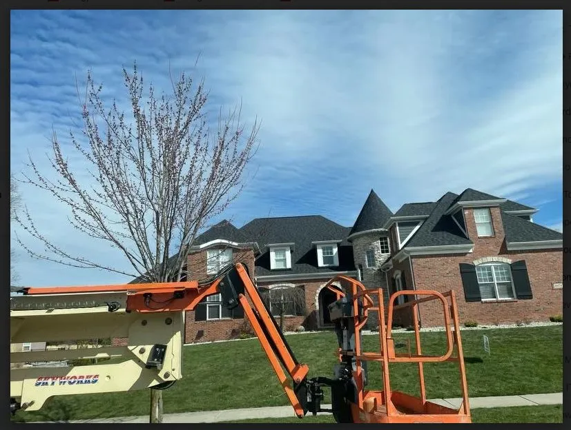 Slide of T&P Renovations