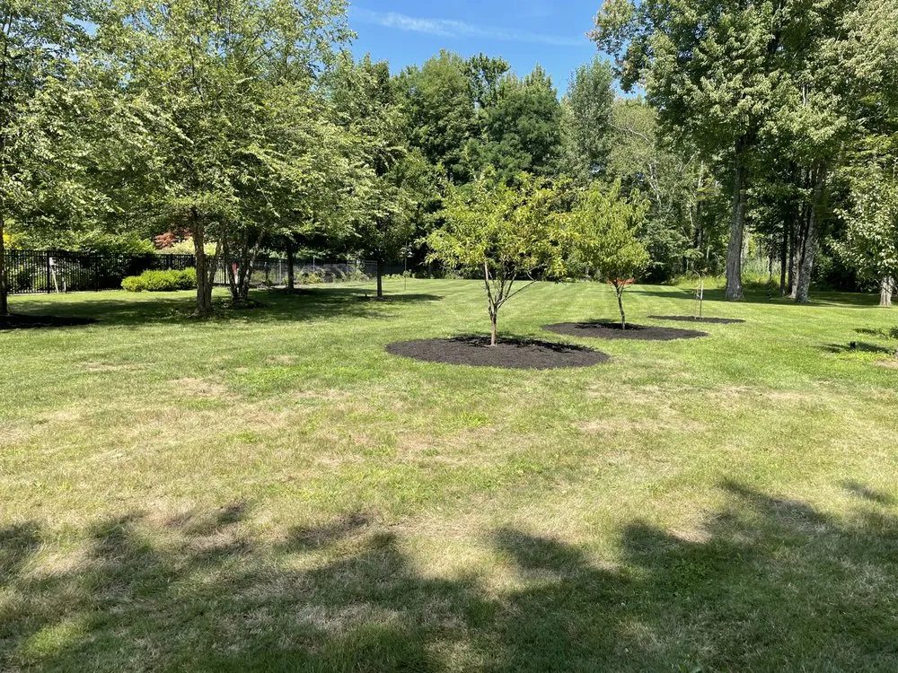 Slide of T&R Family Contracting