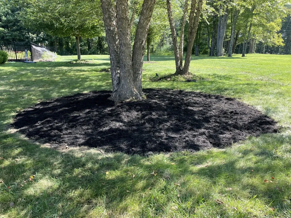 Slide of T&R Family Contracting