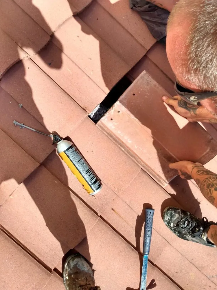 Slide of Trade Productions