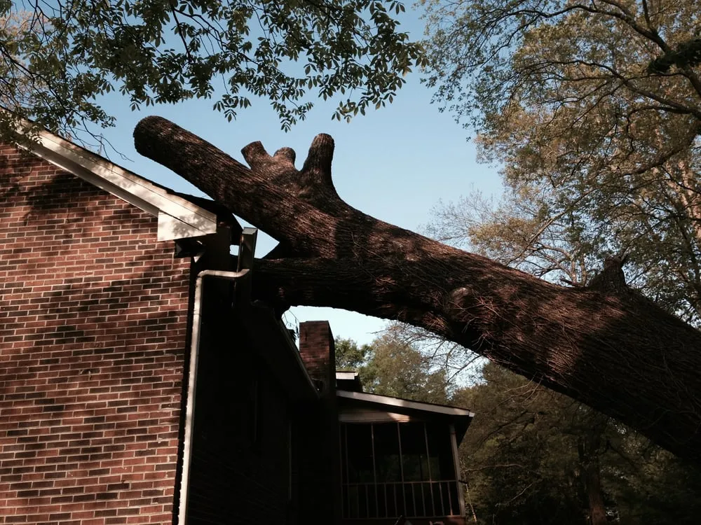 Slide of Trademark Contractors LLC