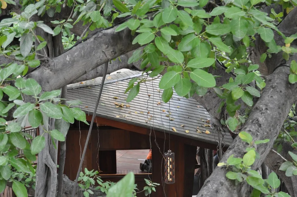 Slide of Traditional Copper