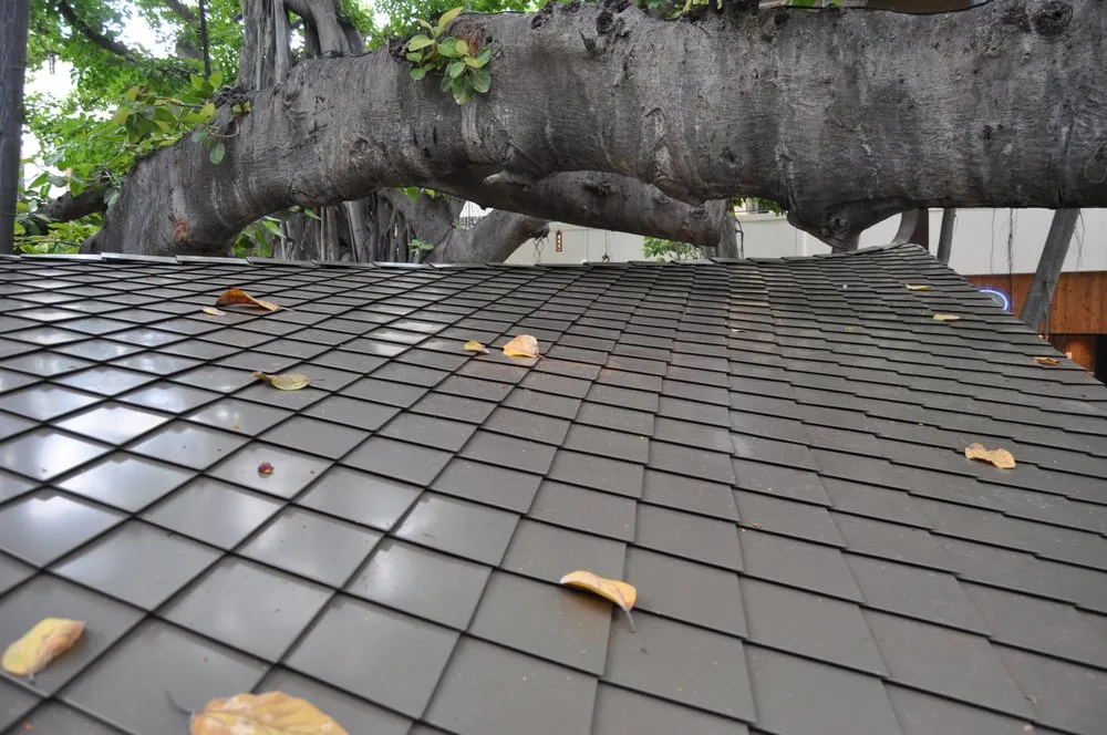 Slide of Traditional Copper