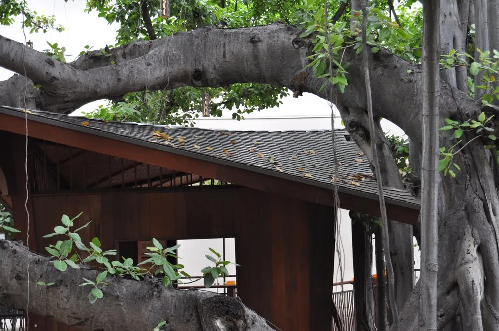 Slide of Traditional Copper