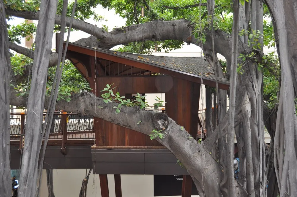 Slide of Traditional Copper