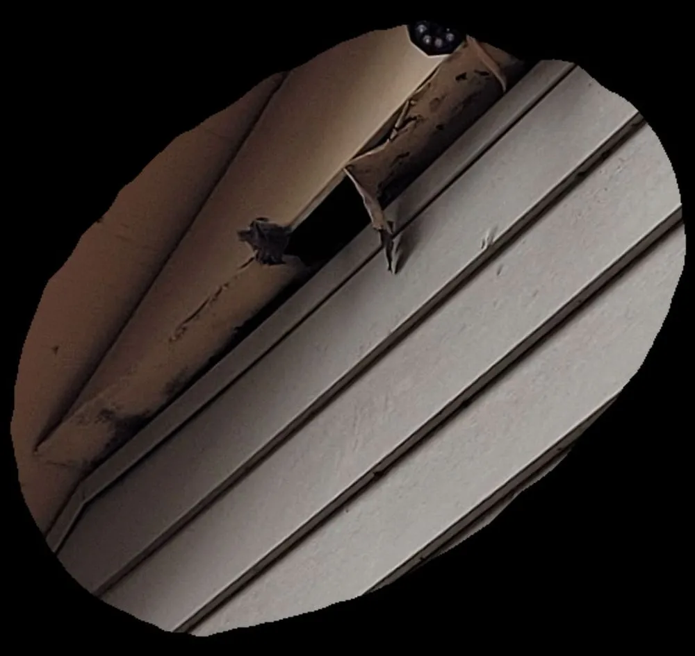 Slide of Trans American Construction