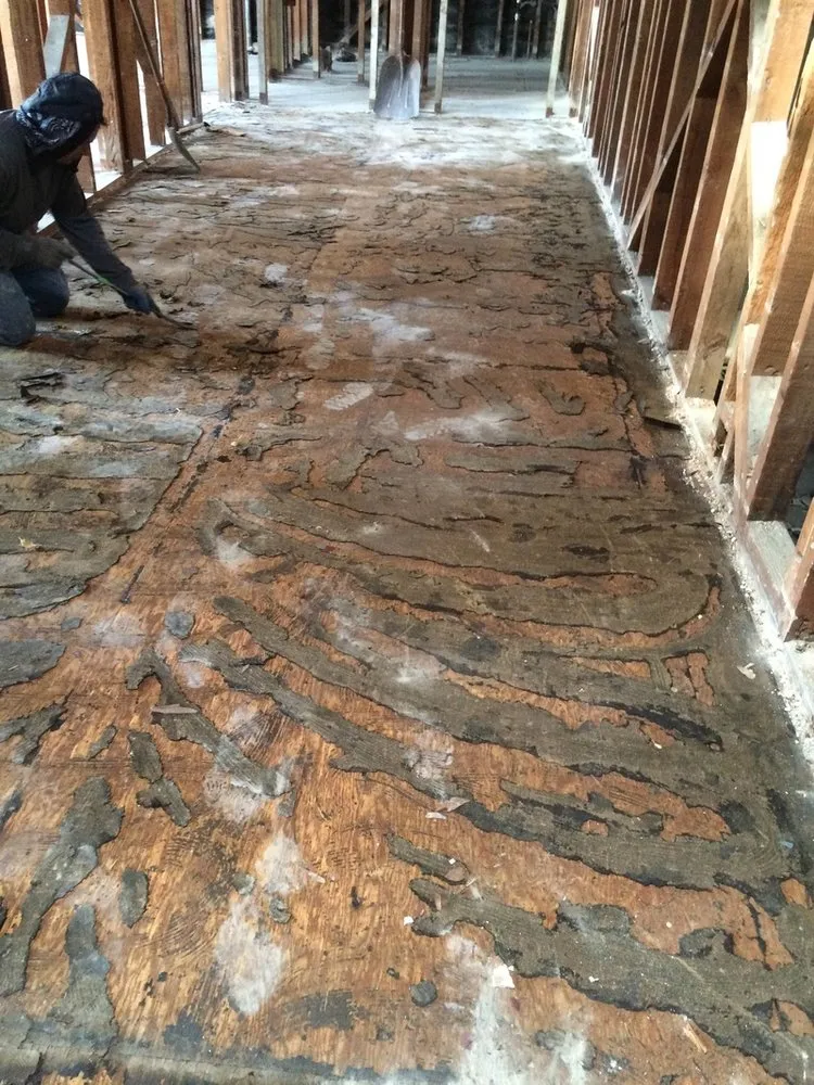 Slide of Transcend Demolition