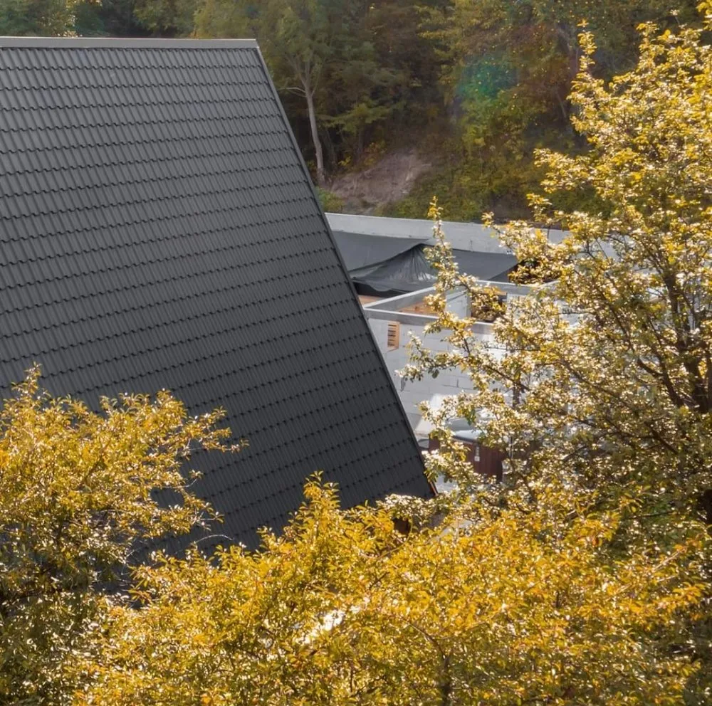 Slide of Transylvania Group