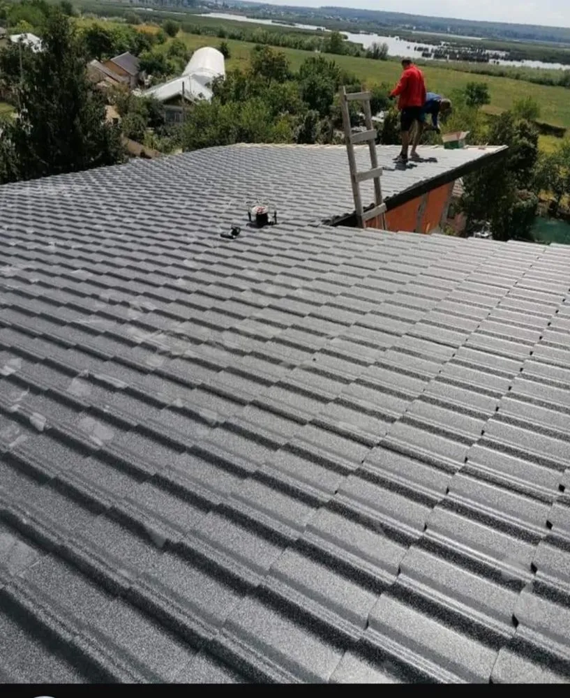 Slide of Transylvania Group