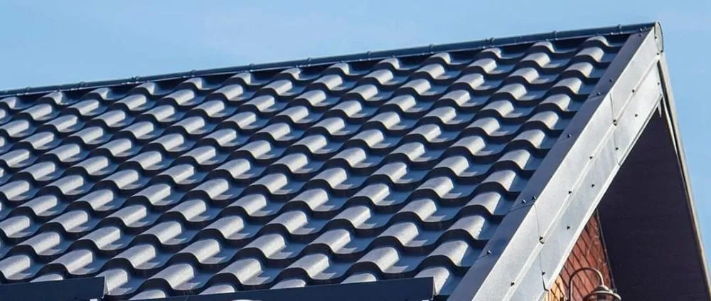 Slide of Transylvania Group