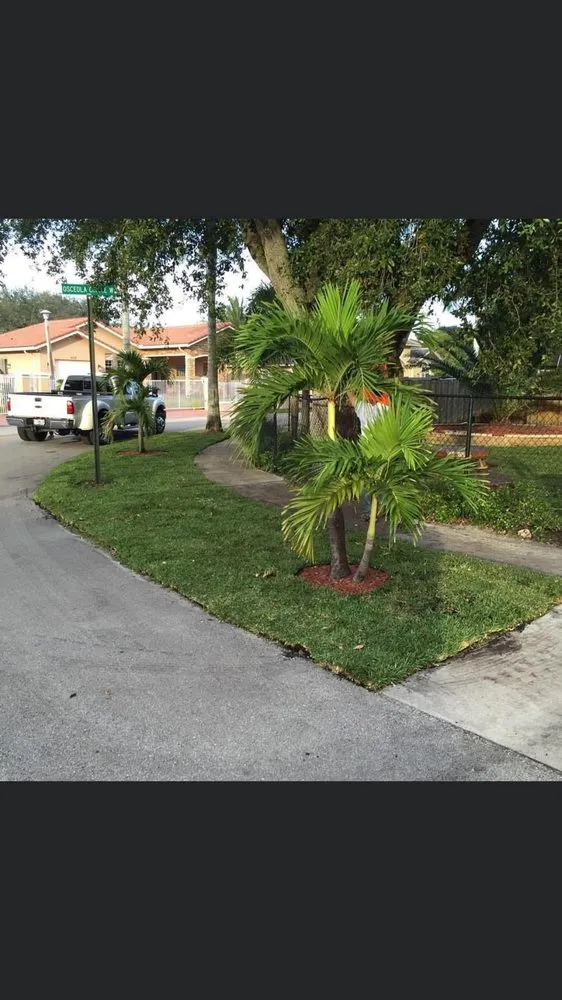 Slide of Treasure Coast Roof Cleaning Specialist