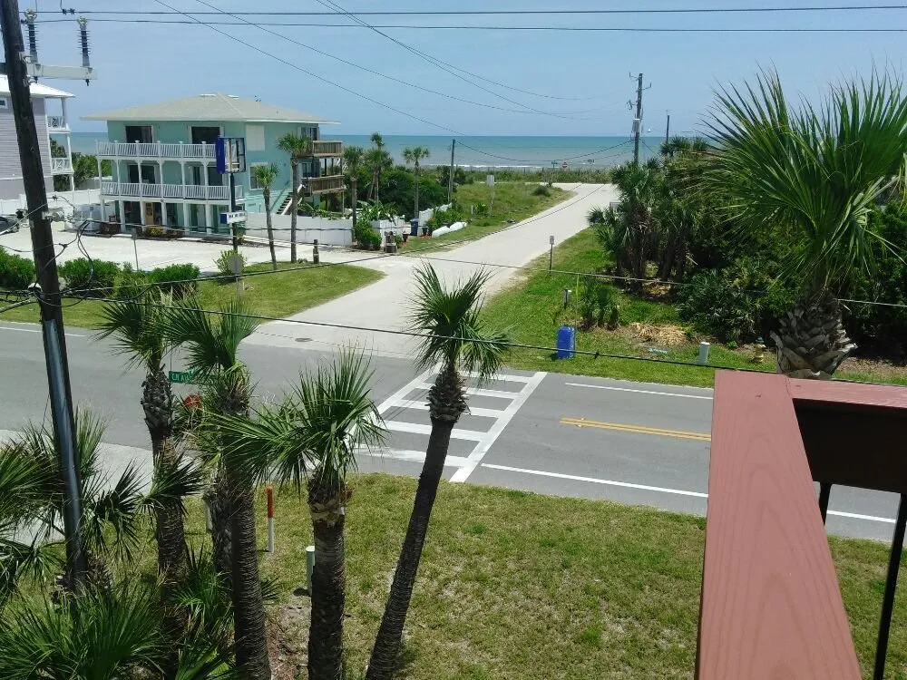 Slide of Tree Barber