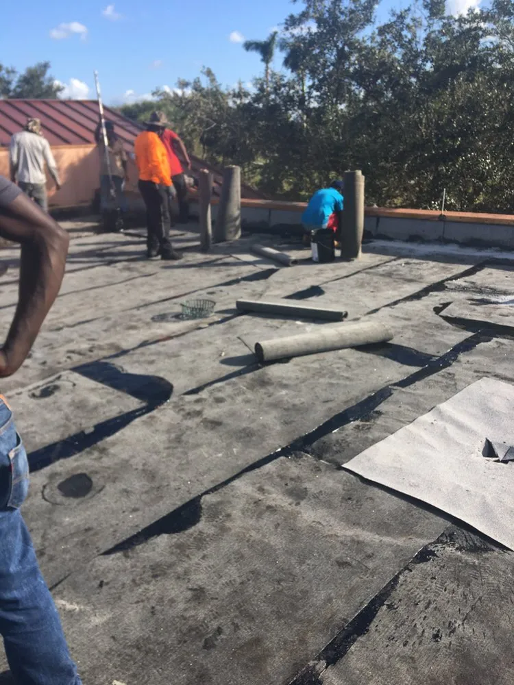 Slide of Tree Of The World Roofing