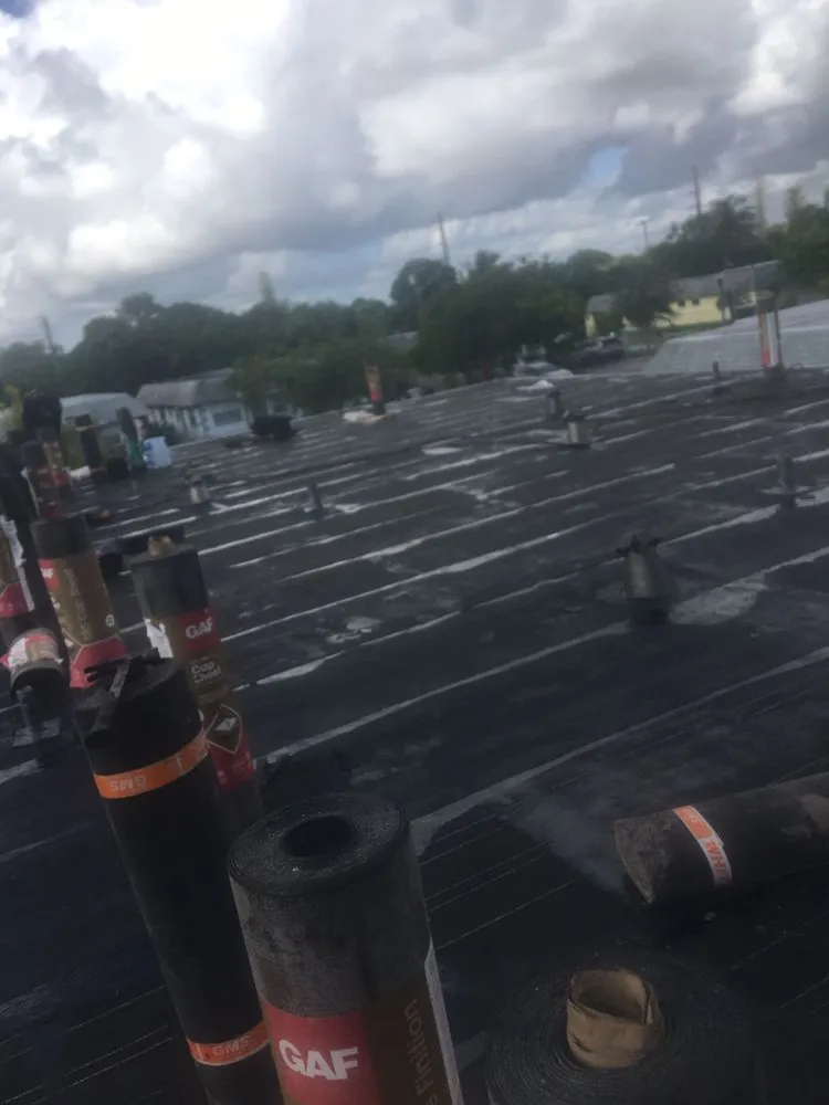 Slide of Tree Of The World Roofing