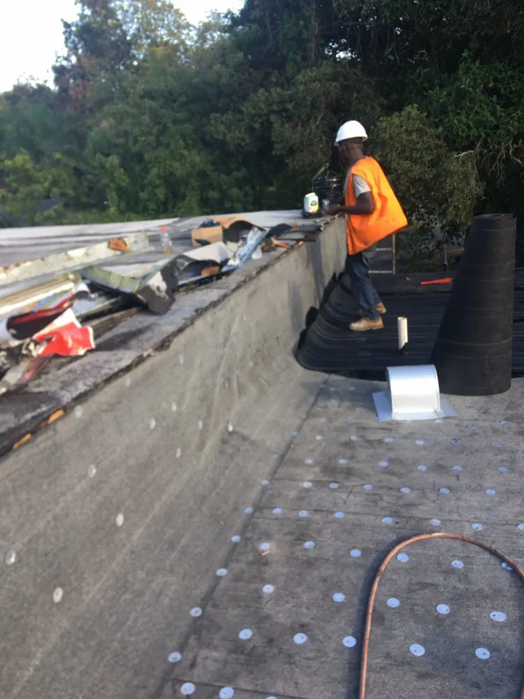 Slide of Tree Of The World Roofing