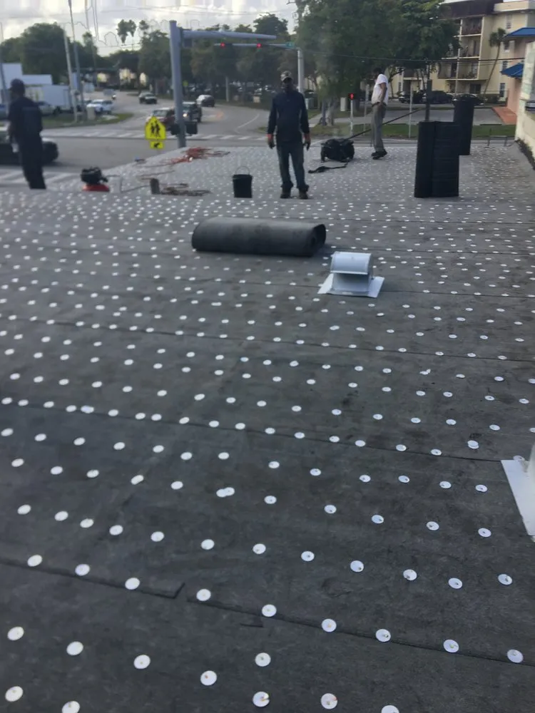 Slide of Tree Of The World Roofing