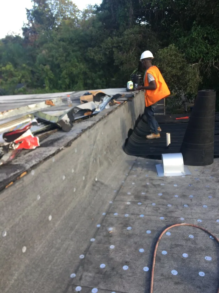 Slide of Tree Of The World Roofing