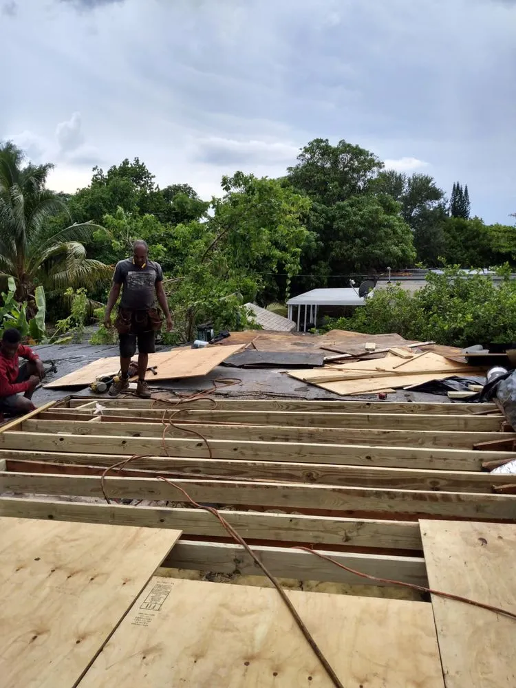 Slide of Tree Of The World Roofing
