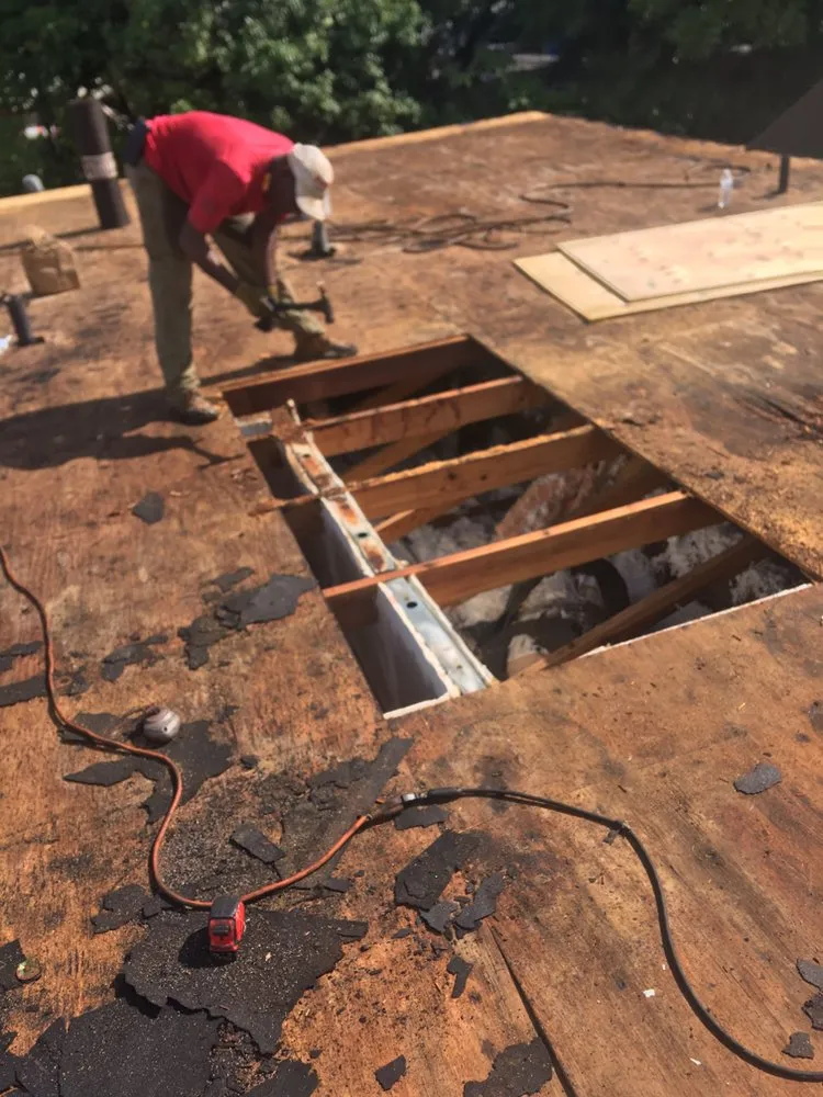 Slide of Tree Of The World Roofing