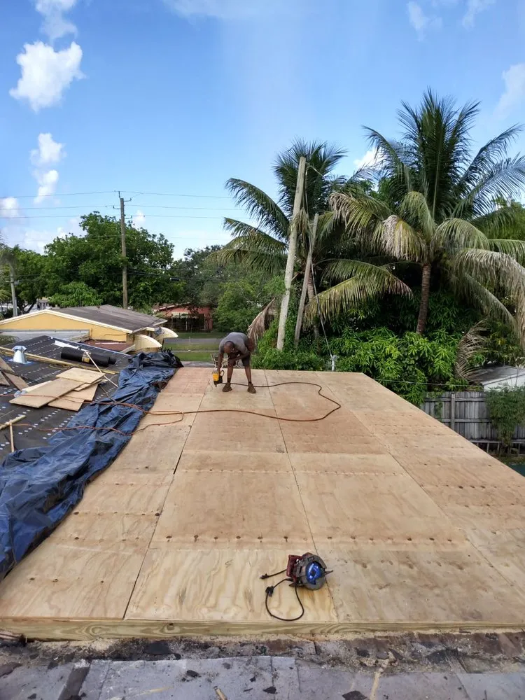 Slide of Tree Of The World Roofing