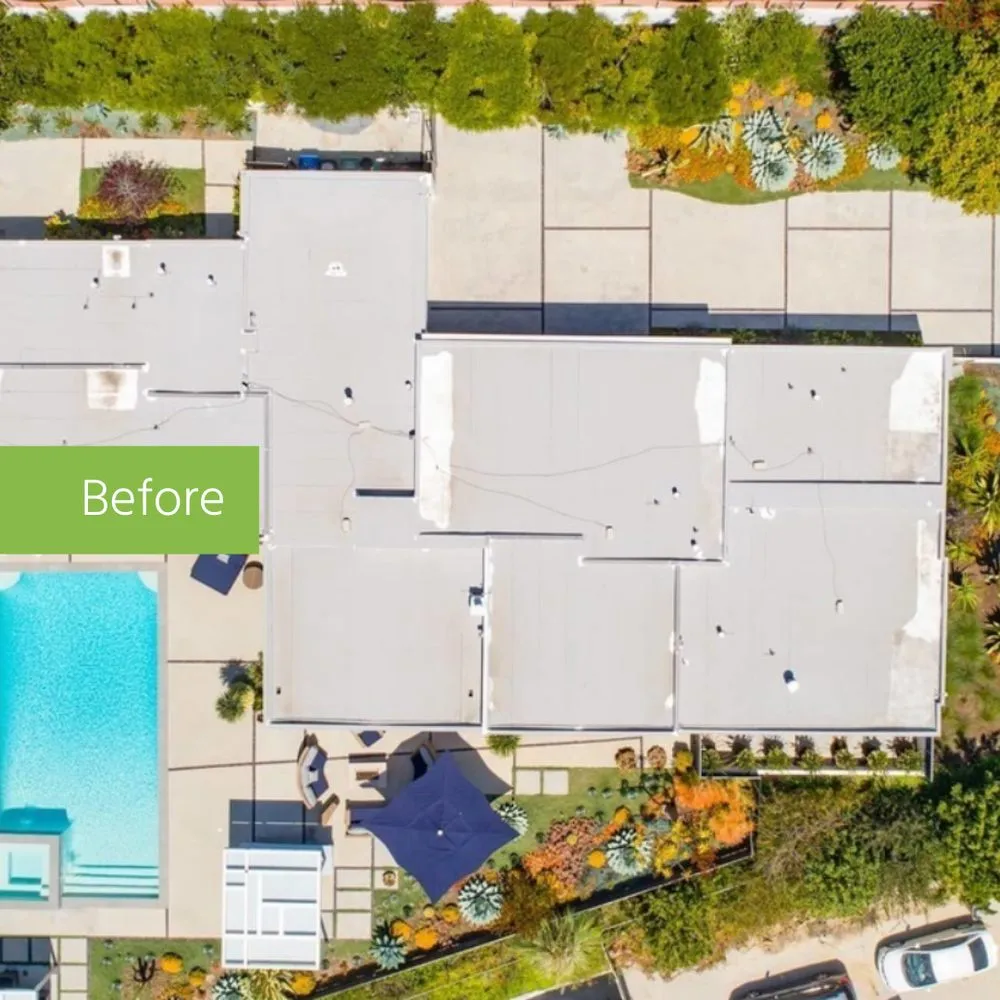 Slide of Treeium Energy