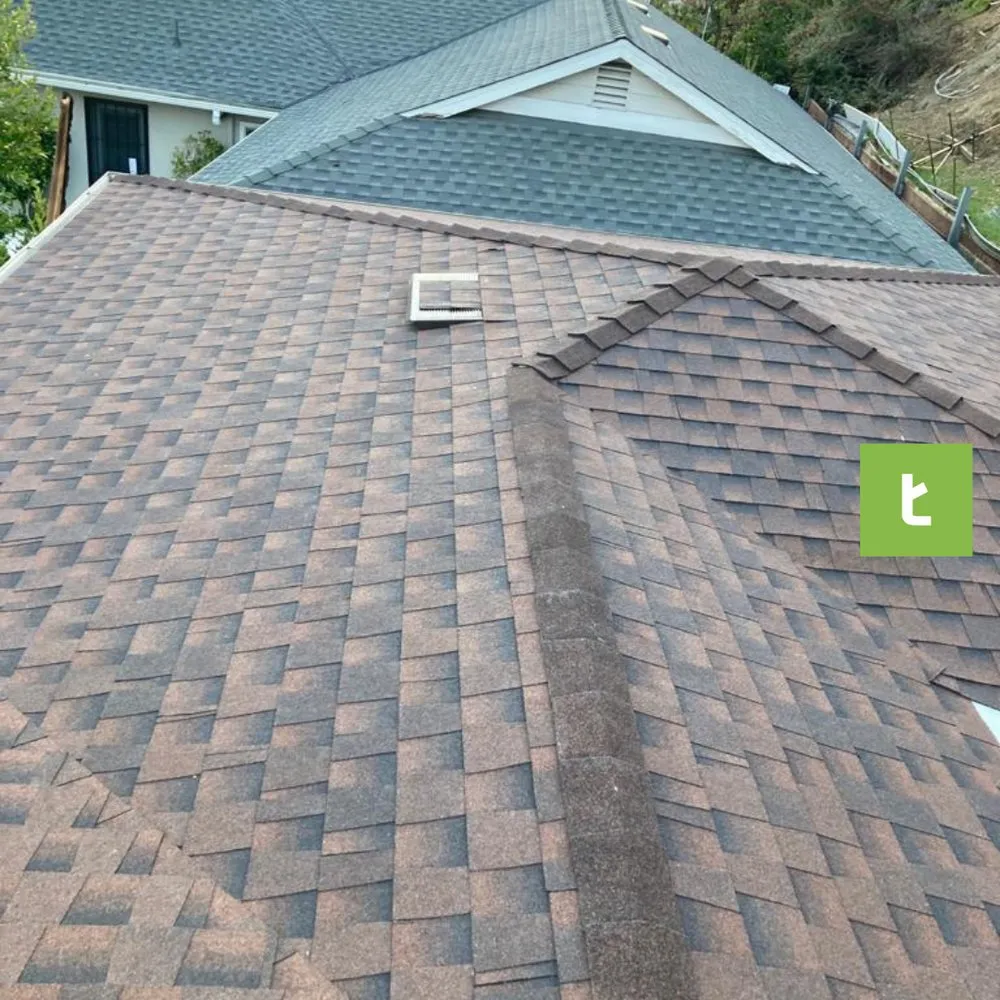 Slide of Treeium Energy