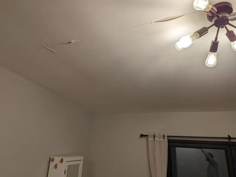 Slide of Treeium Energy