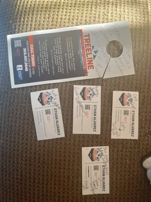 TreeLine Roofing & Construction Logo