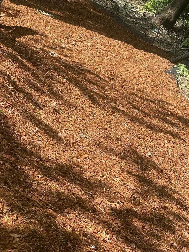 Slide of Trejo General Contractor