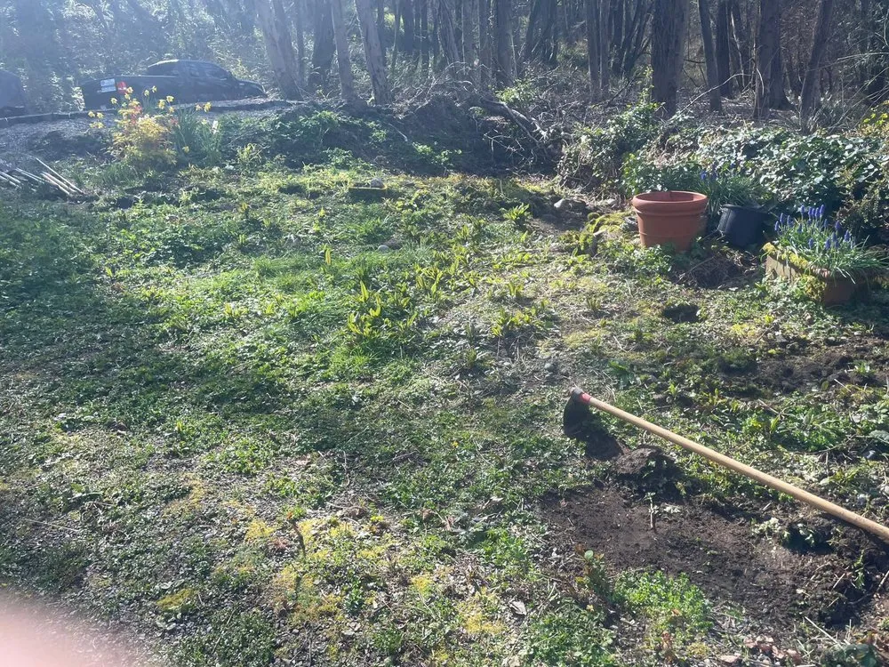 Slide of Trejo General Contractor