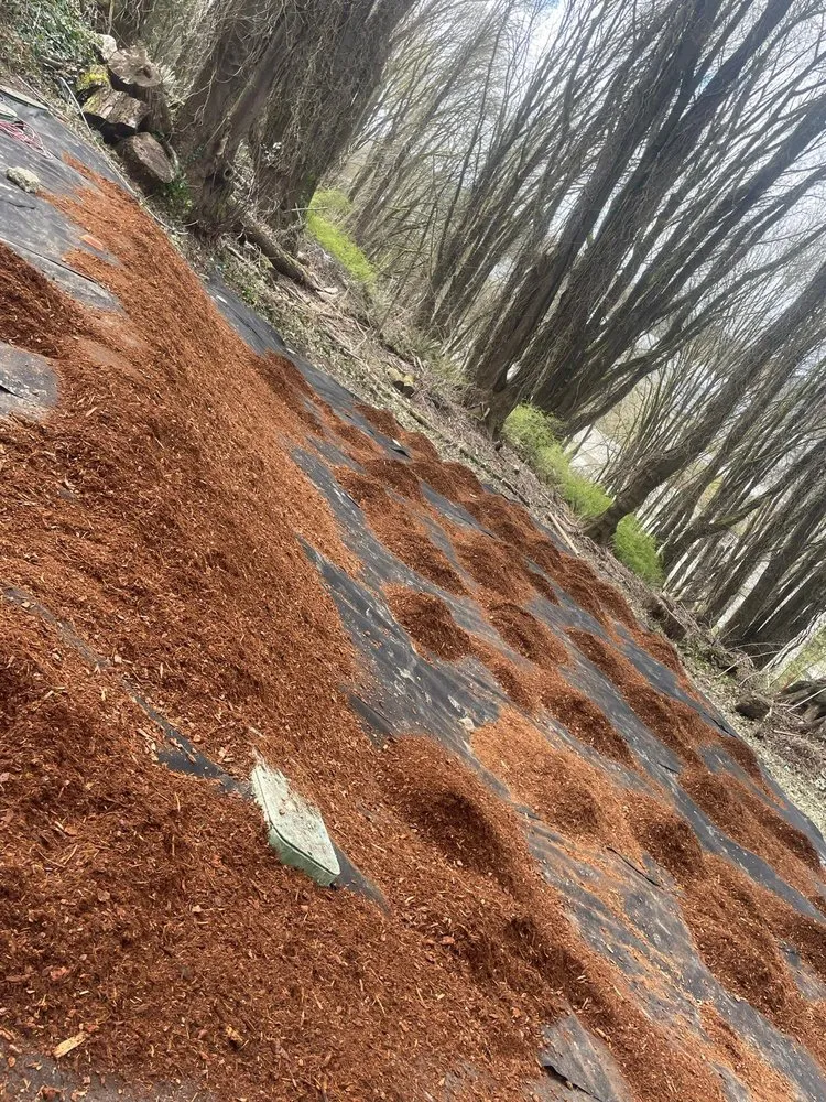 Slide of Trejo General Contractor