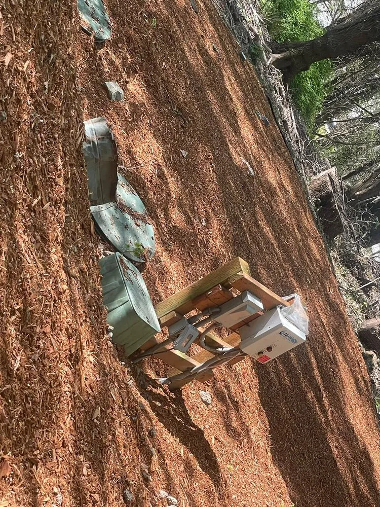 Slide of Trejo General Contractor