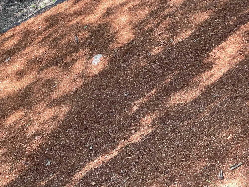 Slide of Trejo General Contractor