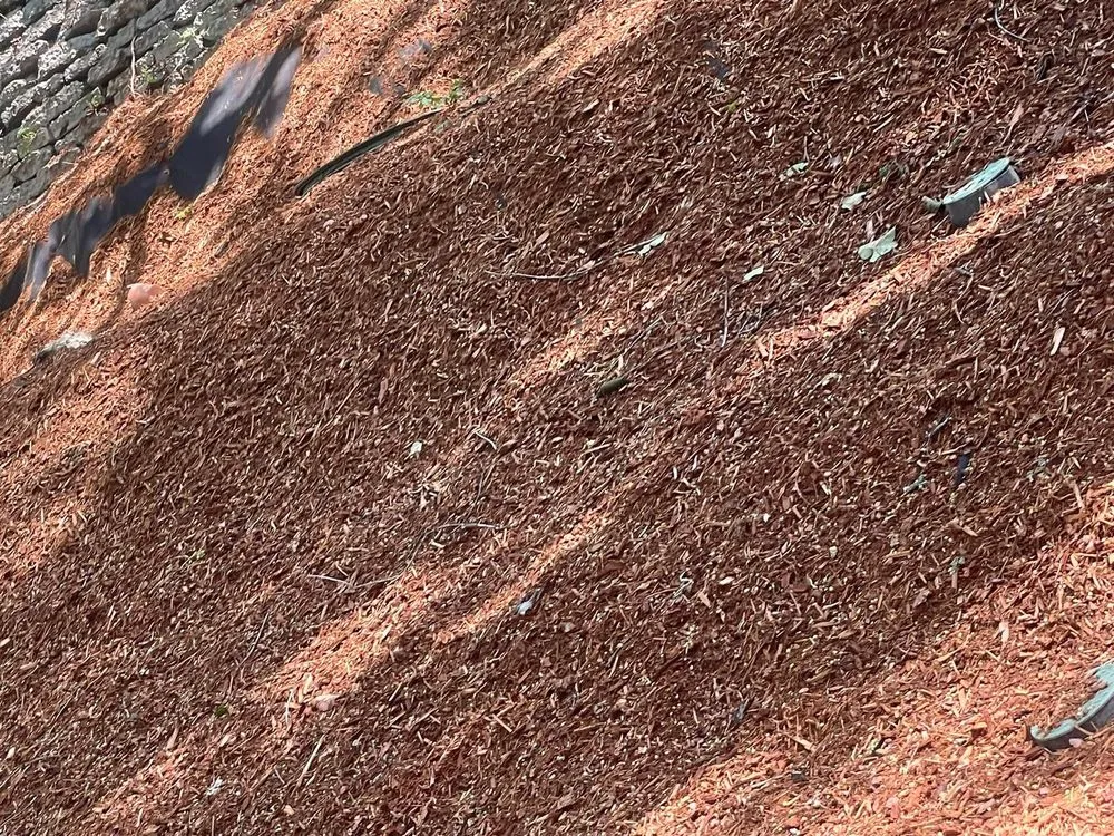 Slide of Trejo General Contractor